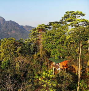 Tree Houses by Jungle River